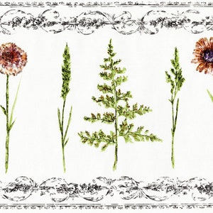 Zeitgenössische Gänseblümchen mit grünem Weizenblatt und schwarzer floraler Tapetenbordüre | Vorgeklebt | 15' L x 26,6 cm B