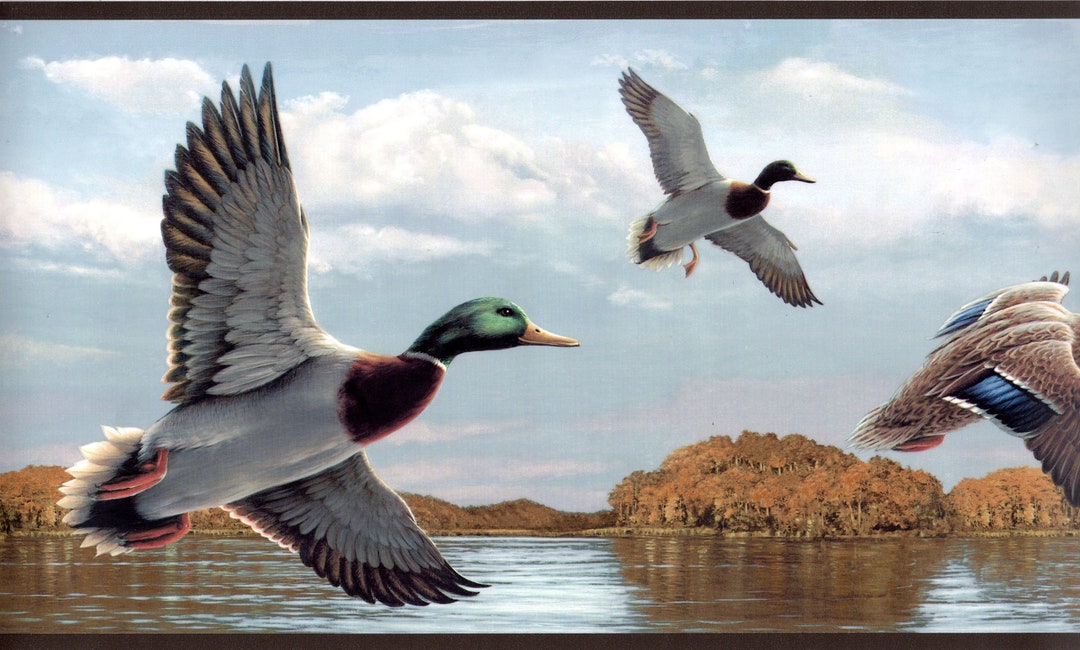 Hautman Brothers Wildlife Wallpaper Border, Wilderness Wildlife Nature