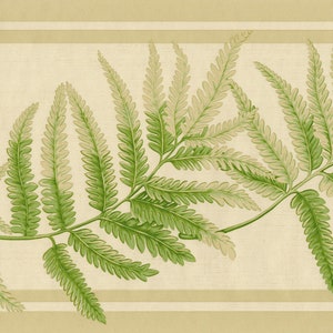Tropische Tapetenbordüre - Farnblatt-Tapetenbordüre - Hellbraun, Beige, Grün - Botanische Tapetenbordüre - Wohnzimmerdekor - Küchendekor