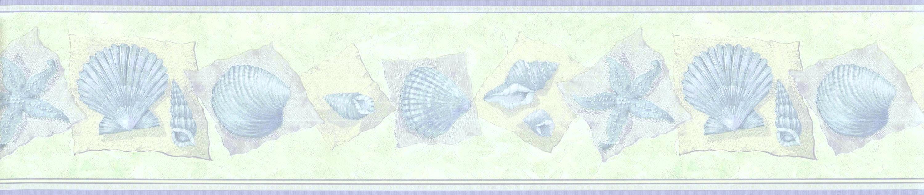 Sea Shell Line Border Seashell Wallpaper Border 7 Inch, Coastal Nautical Wall Decor, Pre ...