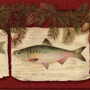 Op de afbeelding: Een illustratie van drie vissen: een gestreepte baars, een hickory shad en een langoorzonnebaars. De vissen worden weergegeven tegen een achtergrond van een rode rand en een licht houtnerfpatroon. Dennetakken en dennenappels staan bovenaan.