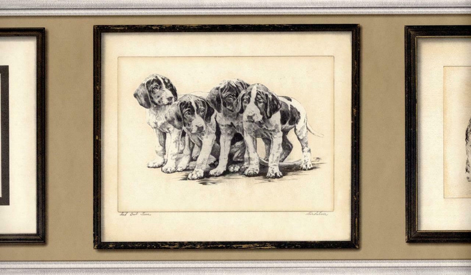 Animal Prints Wallpaper Border Puppies Wallpaper Border Pet Etsy