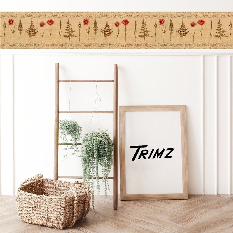 May include: A wooden ladder leaning against a white wall with a framed print that says "Trimz" hanging above a woven basket. Two hanging plants are in front of the ladder.