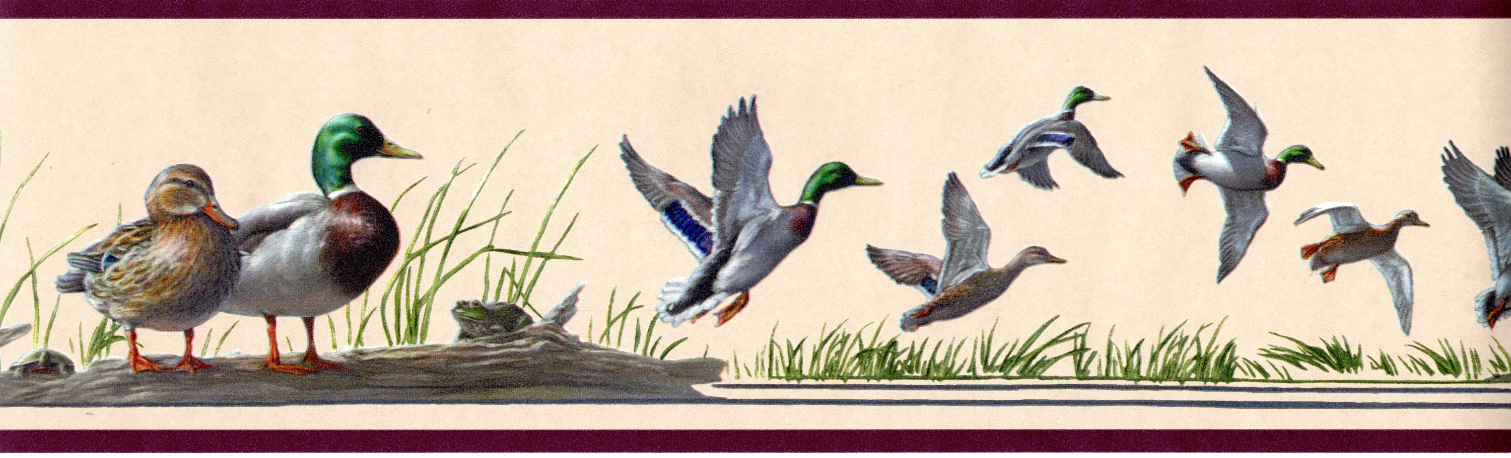 Wildlife Wallpaper Borders - Etsy