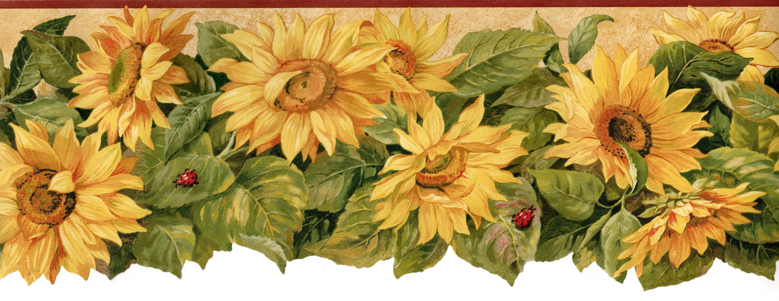 Sunflower Wallpaper Border Scalloped Sunflower Wallpaper Etsy