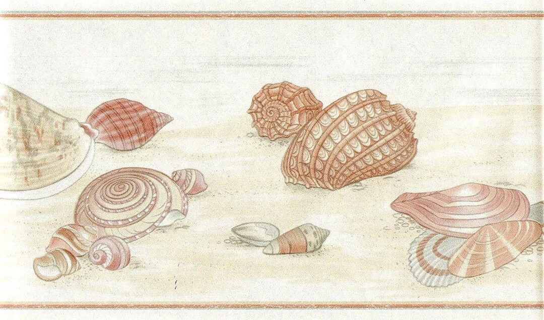 Pearlized Seashell Wallpaper Border, Beach Nautical Coastal Wallpaper