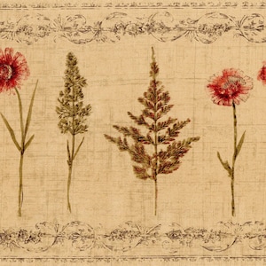 Botanical Wildflower Wallpaper Border 10.25 Inch – Vintage Floral - Red Daisy Wheat Herb & Scroll Design for Wall Decor, Pre-pasted