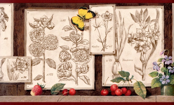 Fruits et bordure de papier peint floral, dessins de fleurs botaniques avec  des fruits et des papillons sur une bordure de papier peint d'étagère  brune, bordure de cuisine de campagne 