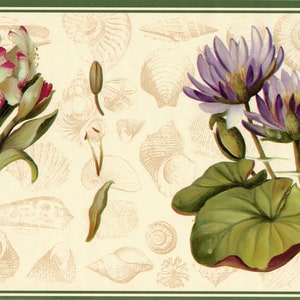 Bordure de papier peint nénuphar violet, bordure de papier peint hibiscus rose, bordure de papier peint fleurs tropicales avec coquillages côtiers
