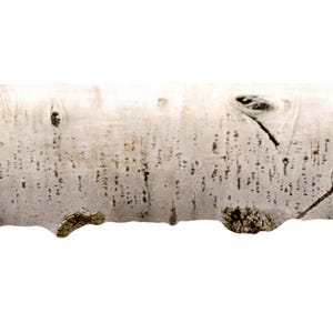 Birch Tree look Wallpaper Border 4 Inch, Nature Inspired Abstract Wall Decor, Neutral grey and white, Pre-pasted