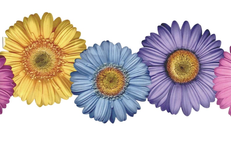 Daisy Wallpaper Border Purple Blue Yellow Pink Flower | Etsy