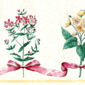 Blumen Zweige Blätter mit Schleife Ribbon Tapete Bordüre Blumendekor | Gelb, Rot, Grün