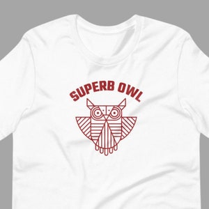 Superb Owl Funny Super Bowl Party Shirt Who are Not a Sports Fans | Funny SuperBowl Shirt | Owl Shirt for Women and Men
