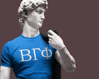 Funny Frat Guy Shirt, Fraternity Gift, Little Brother Frat Gift, Big Brother Fraternity Shirt, Fratty BRO Shirt, Greek Letters Tee Shirt