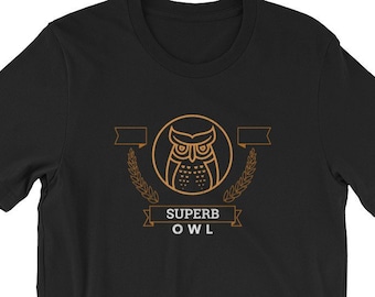 Funny Super Bowl Shirt | Non Sports Fans Superb Owl T-Shirt | Funny SuperBowl Party Tee | Owl Shirt for Women and Men that Don&#39;t Like Sports