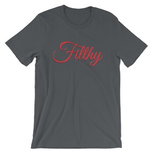 Filthy Shirt, Justin Timberlake Fan Gift, Man of the Woods Tour Shirt Idea, JT Concert Shirt, Gift for Timberlake Fans, JT Filthy Shirt Asphalt