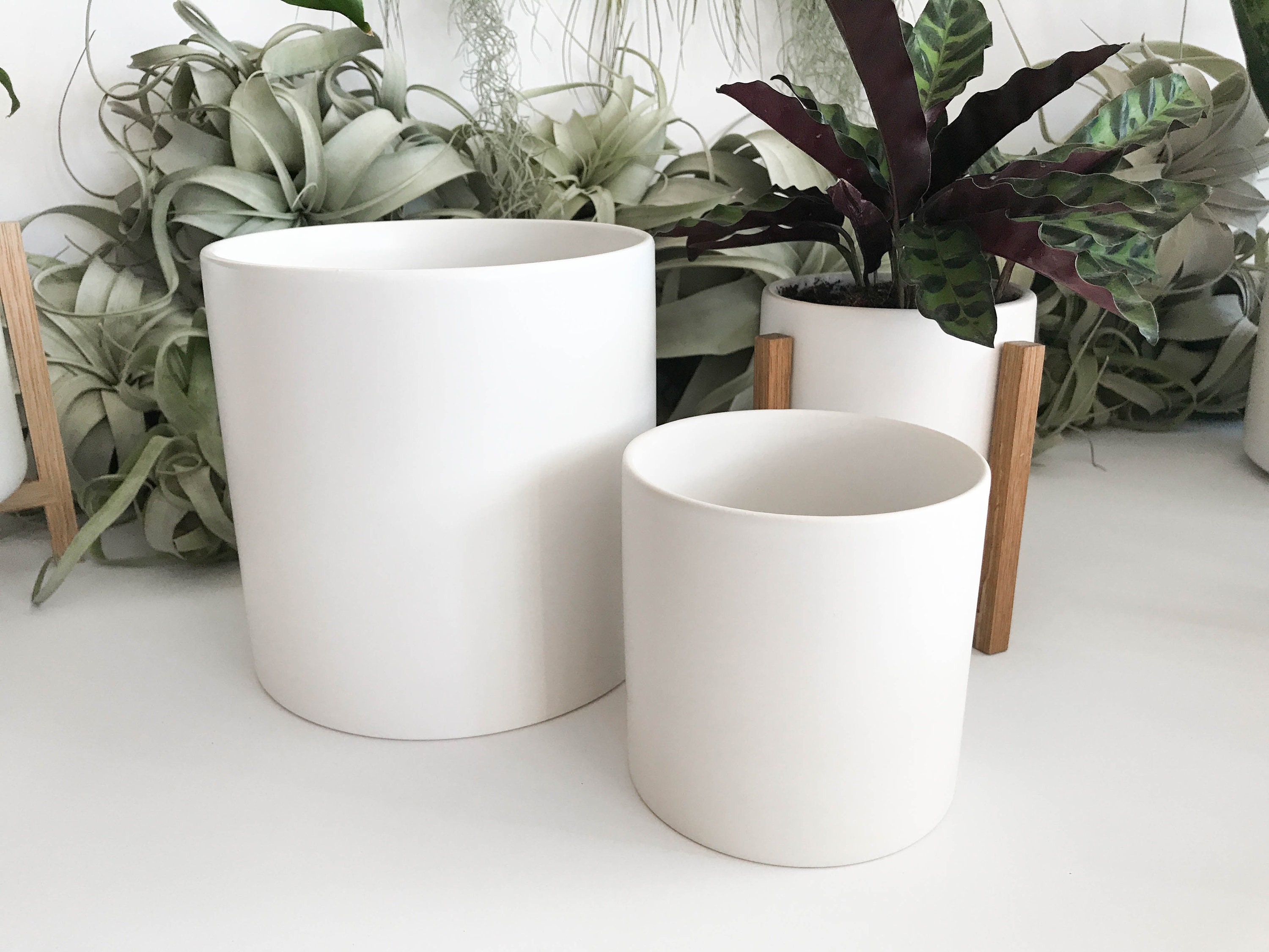 Medium Plant Pot 