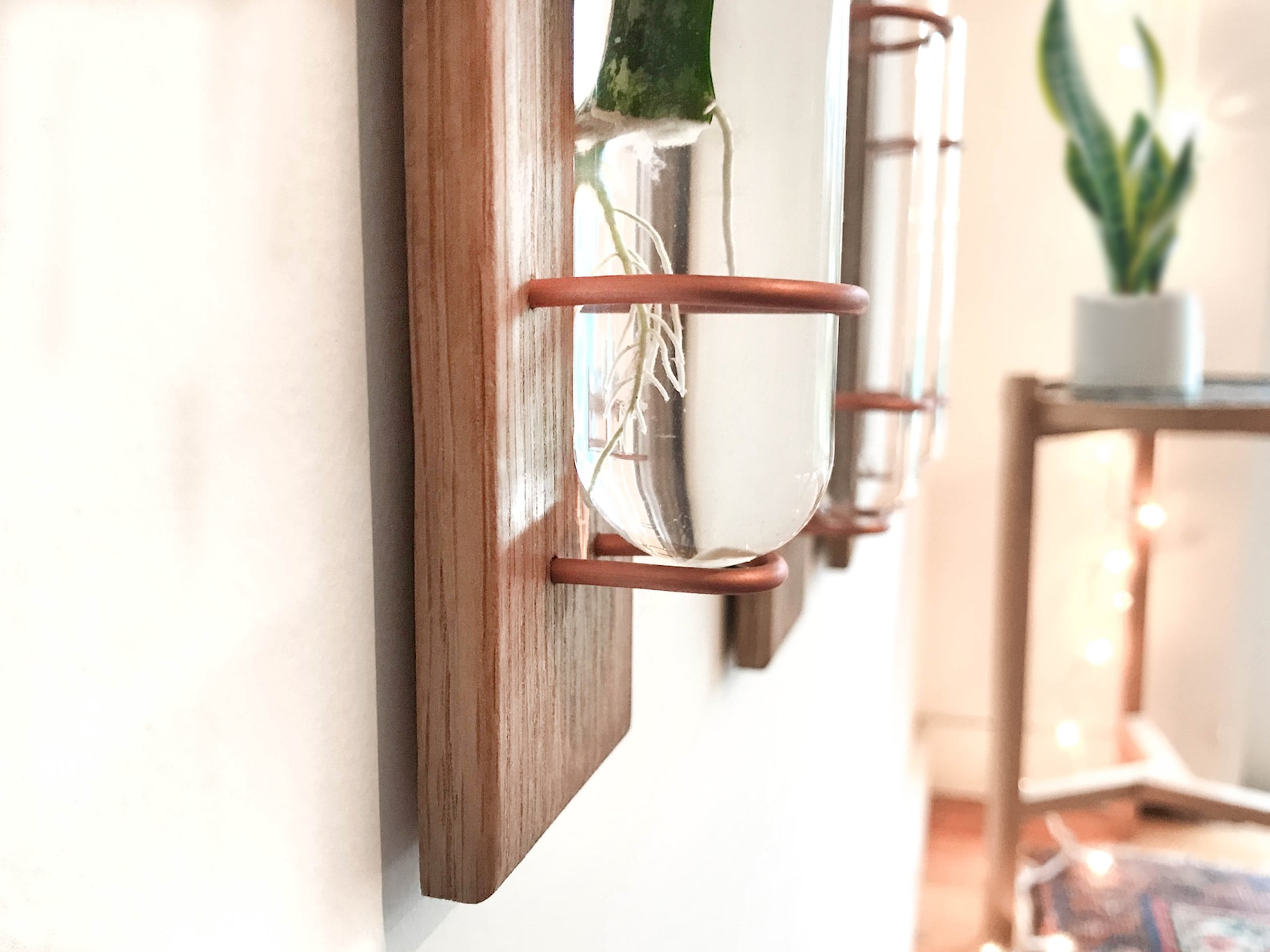 Propagation Wall Hanging Propagating Glass Vase Wall Bud Etsy