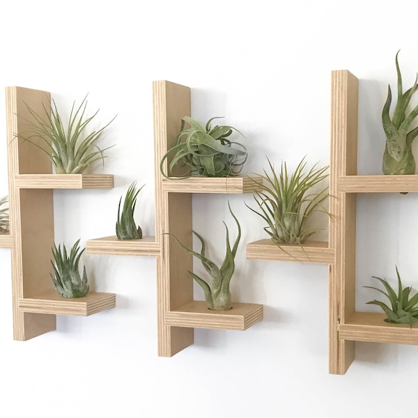 Air Plant Wall Display, Small Shelf Decor, Hanging Air Plant Holder Gift, Mini Shelf Wood, Shelf Decorations, Air Plant Hanger, Wall Hanging