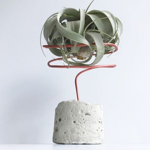 May include: A green air plant in a copper wire holder, sitting on a concrete base.