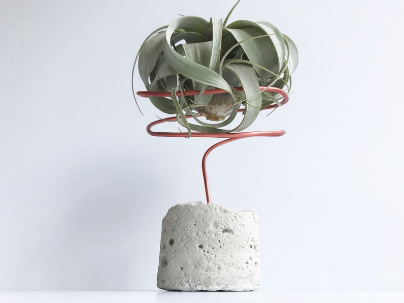 May include: A green air plant in a copper wire holder, sitting on a concrete base.