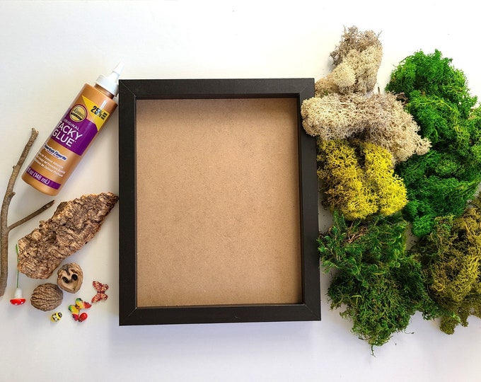 DIY Kit, Moss Wall Art, Nature Lover Gift, Preserved Moss Decor, Nature Inspired Art, Adult Craft Kit, Birthday Gift, Kid-Friendly Activity