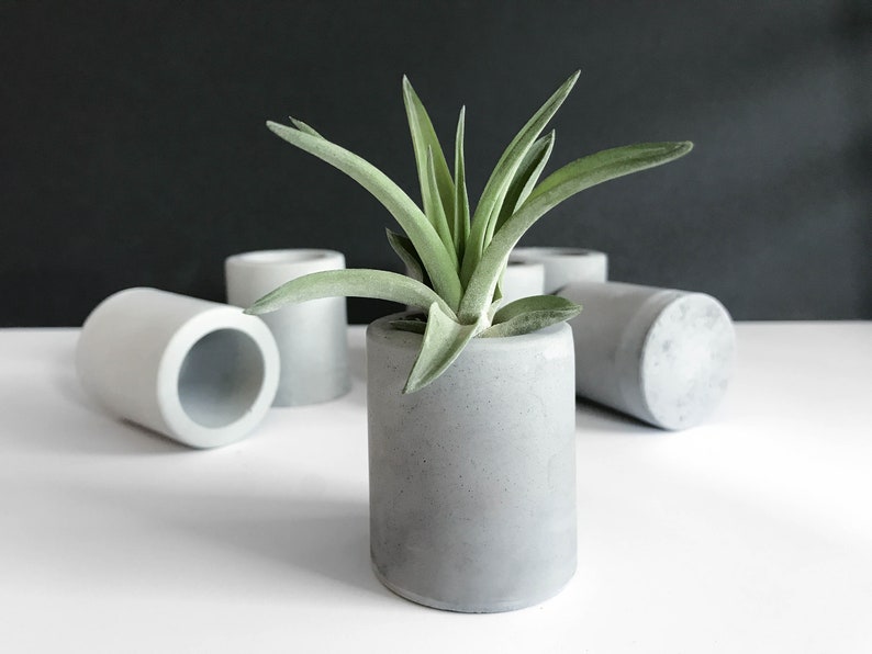 Air Plant Holders Concrete Air Plant Pot Dorm Desk Decor Etsy