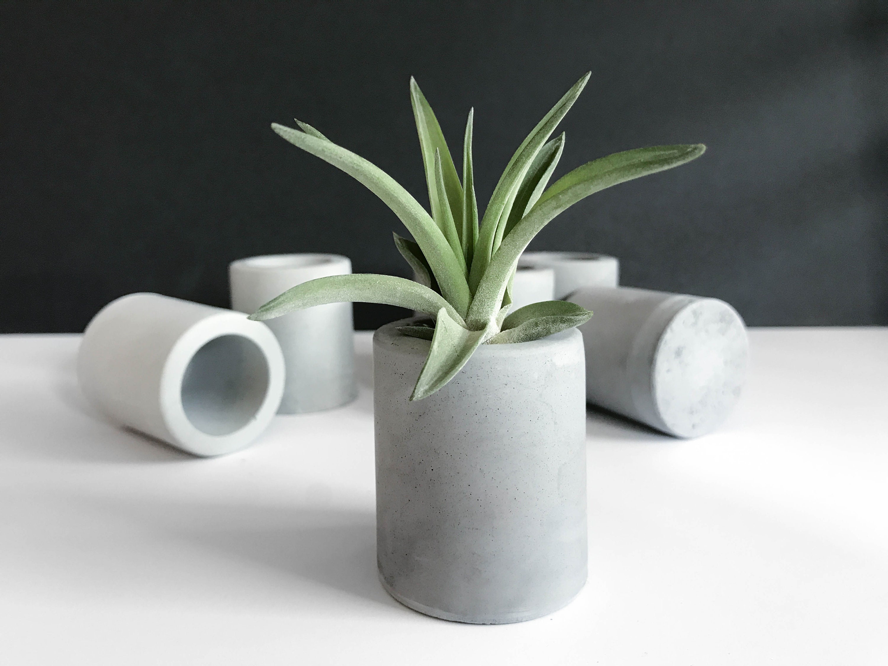 Air Plant Holders Concrete Air Plant Pot Dorm Desk Decor Etsy