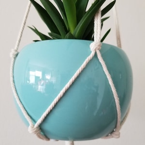 May include: A light blue ceramic hanging planter with a white macrame rope. A green succulent plant is growing inside the planter.
