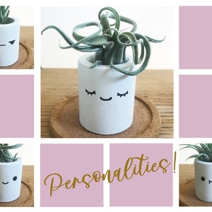 Kawaii-dekor, skrivbordsdekor, luftväxthållare, söta skrivbordstillbehör för kvinnor, tändstickshållare, söt växtkruka, smiley-ansikte-planterare i studentrummet bild 3
