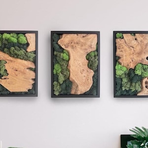 May include: Three framed wall art pieces. Each features a natural wood element with a light brown color, surrounded by green moss. The frames are black, creating a contrast with the natural elements.