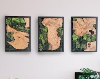Live Edge Wood And Moss Wall Art, Preserved Moss Art Triptych, Deerfoot Moss, Biophilic Natural Green Wall Hanging, Rustic Modern Home Decor
