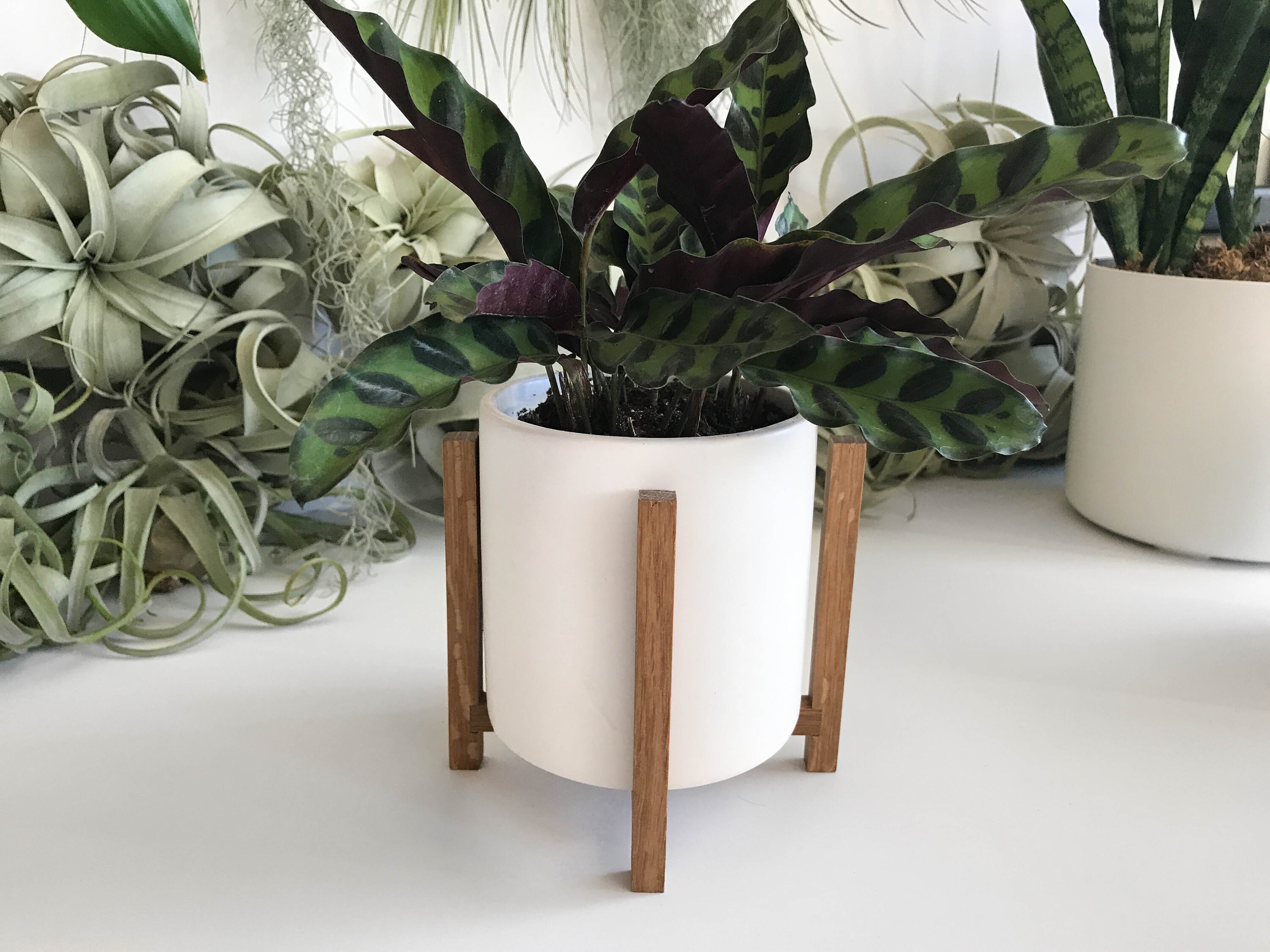 Hänge-Blumentopf Nik Ø 11 cm Übertopf Keramik modern für Zimmerpflanzen Indoor 