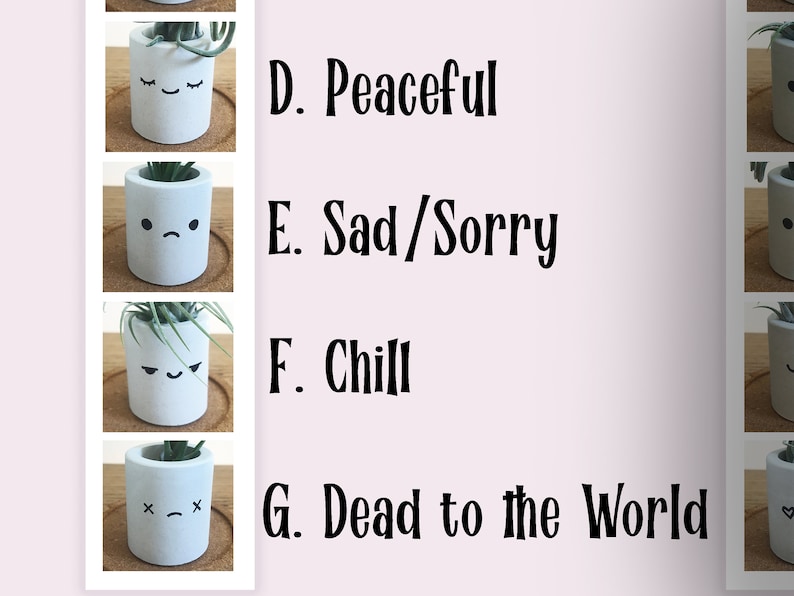 Kawaii-dekor, skrivbordsdekor, luftväxthållare, söta skrivbordstillbehör för kvinnor, tändstickshållare, söt växtkruka, smiley-ansikte-planterare i studentrummet bild 6