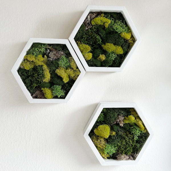 Moss Wall Art Hexagon, Greenery Wall Art Decor, Wood Hexagon, Honeycomb Decorations, Preserved Moss, Botanical Green Wooden Hanging, Walnut