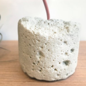 May include: A white concrete planter with a rough, textured surface. The planter has a round shape and is perfect for displaying small plants or flowers.
