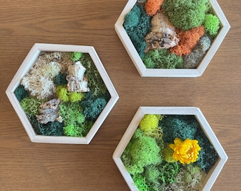 Moss Wall Art Hexagon, Greenery Wall Art Decor, Wood Hexagon, Honeycomb Decorations, Preserved Moss, Botanical Green Wooden Hanging