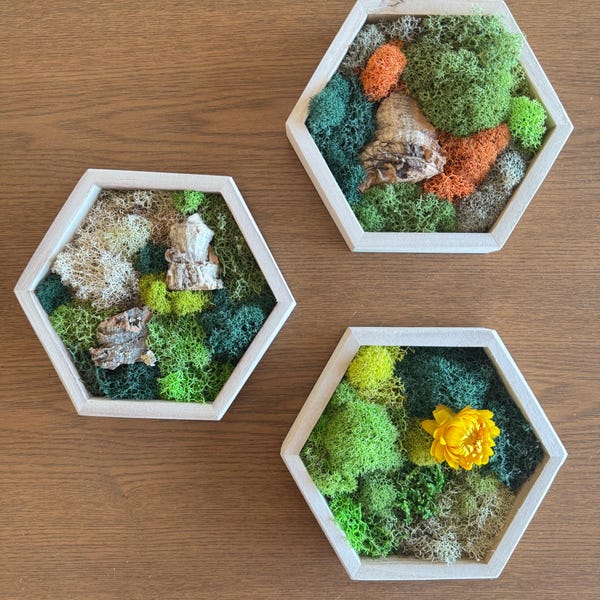 Moss Wall Art Hexagon, Greenery Wall Art Decor, Wood Hexagon, Honeycomb Decorations, Preserved Moss, Botanical Green Wooden Hanging