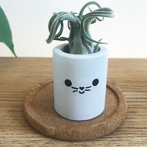 May include: A small, light gray concrete planter with a black cartoon face design, holding a green air plant. The planter sits on a round, brown cork coaster, placed on a wooden surface.