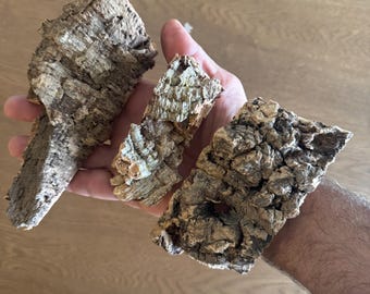 Morceaux d'écorce de liège naturel pour travaux manuels, décorations de terrariums et de reptiles, morceaux de liège vierge pour décorations de plantes aériennes, vivariums, dioramas, projets de bricolage