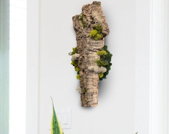 Floating Forest Art Gift, Moss on Cork Bark Natural Wall Decor, Eco-Friendly Gift, Hanging Bark with Preserved Moss, Vertical Garden Indoor
