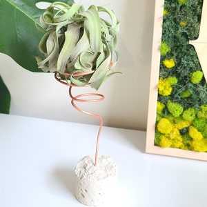 Large Air Plant Holder For Desk, Tillandsia Display, Cement Stand with Wire Holder, Support for Large Air Plant like Streptophylla or Xero