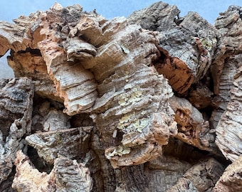 Natural Cork Bark Scraps for Crafts, Terrariums & Reptile Decor, Virgin Cork Pieces for Air Plant Displays, Vivariums, Dioramas DIY Projects