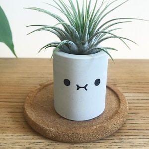 Kawaii-dekor, skrivbordsdekor, luftväxthållare, söta skrivbordstillbehör för kvinnor, tändstickshållare, söt växtkruka, smiley-ansikte-planterare i studentrummet bild 1