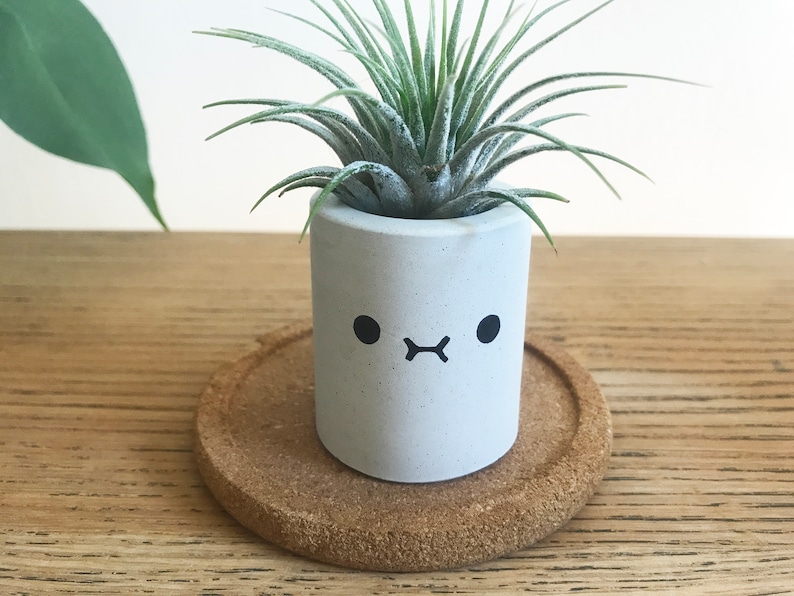Kawaii-dekor, skrivbordsdekor, luftväxthållare, söta skrivbordstillbehör för kvinnor, tändstickshållare, söt växtkruka, smiley-ansikte-planterare i studentrummet bild 1
