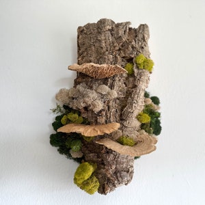 Floating Forest Art Gift, Moss on Cork Bark Natural Wall Decor, EcoFriendly Hanging Bark, Preserved Moss & Mushrooms, Vertical Garden Indoor