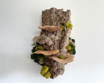 Floating Forest Art Gift, Moss on Cork Bark Natural Wall Decor, EcoFriendly Hanging Bark, Preserved Moss & Mushrooms, Vertical Garden Indoor