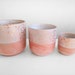 see more listings in the Pots, Stands and Hangers section