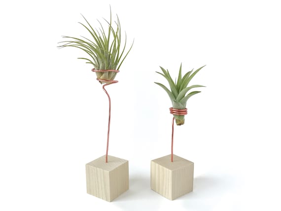 Présentoir de plante aérienne, support pour cube en bois avec fil de fer,  accessoires de décoration