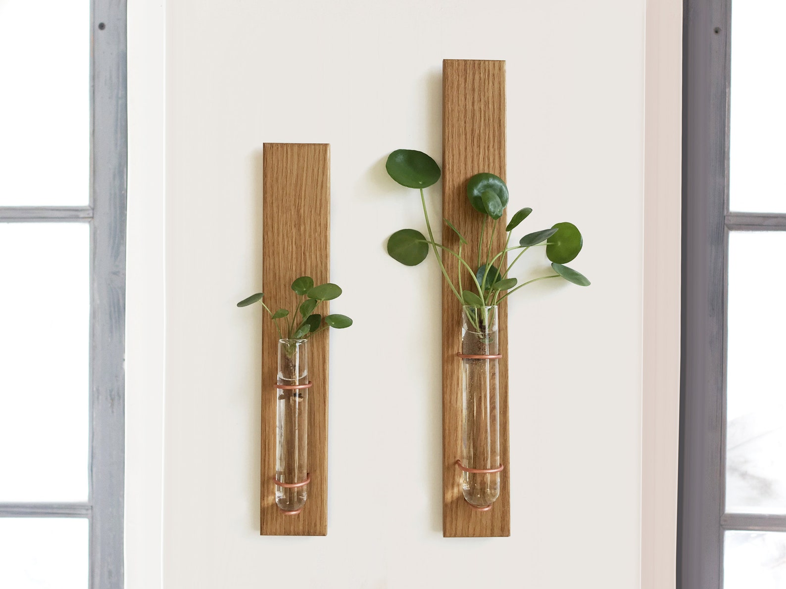 Propagation Wall Hanging Propagating Glass Vase Wall Bud Etsy